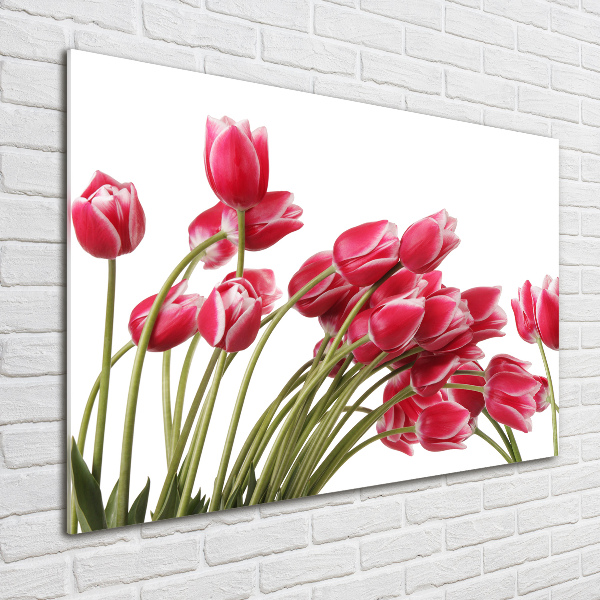 Foto op plexiglas Rode tulpen