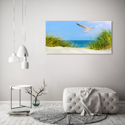 Schilderij op acrylglas Meeuw op het strand