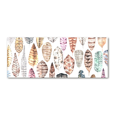 Plexiglas foto Kleurrijke veren