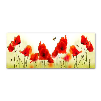 Plexiglas foto Klaprozen