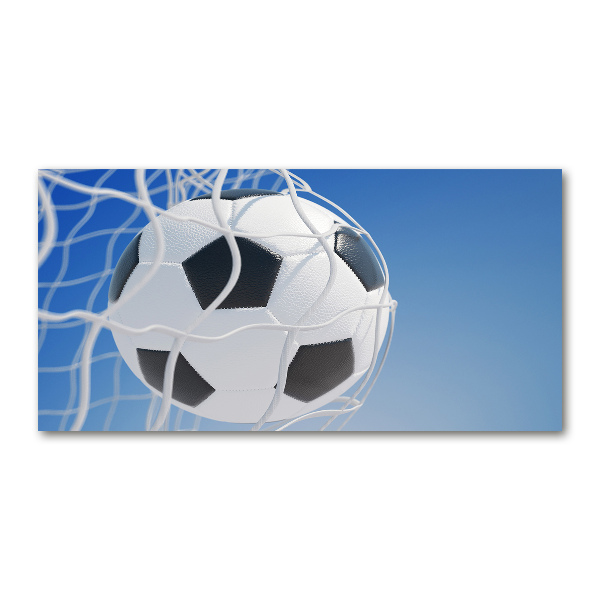 Schilderij op acrylglas De bal ligt in het doel.
