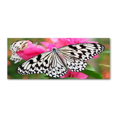 Foto plexiglas Vlinder op een bloem