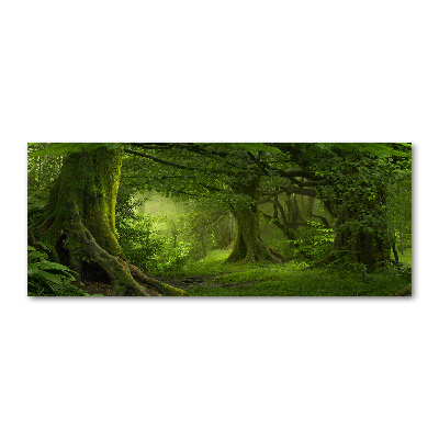 Schilderij op acrylglas Tropische jungle