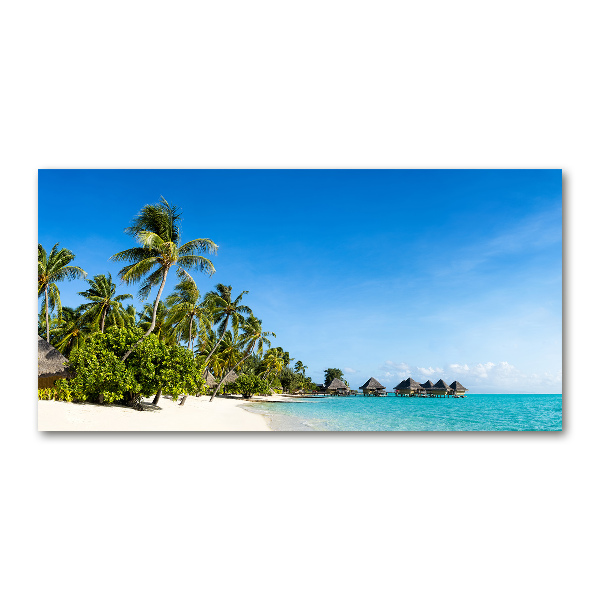 Plexiglas foto Caribisch strand