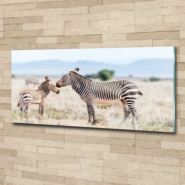 Foto in plexiglas Zebra's in de bergen