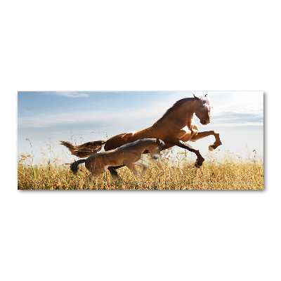 Schilderij op acrylglas Merrie met veulen