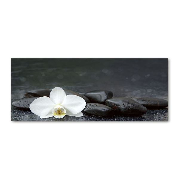 Foto op plexiglas Orchidee