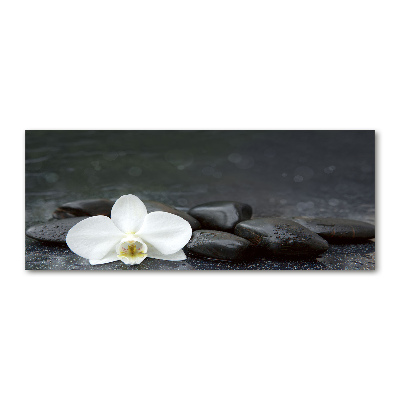 Foto op plexiglas Orchidee