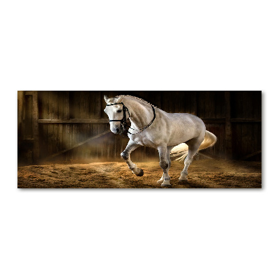 Foto plexiglas Wit paard in de stal