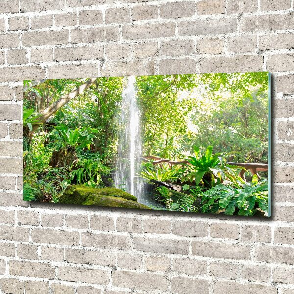 Foto plexiglas Waterval