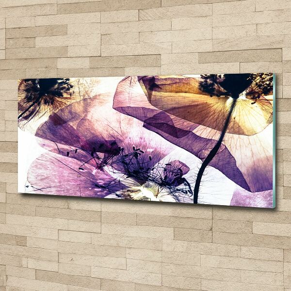 Plexiglas foto Droge klaprozen