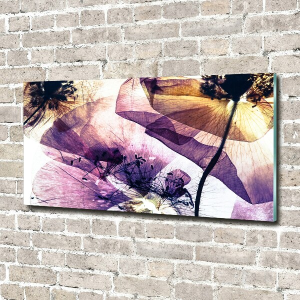 Plexiglas foto Droge klaprozen