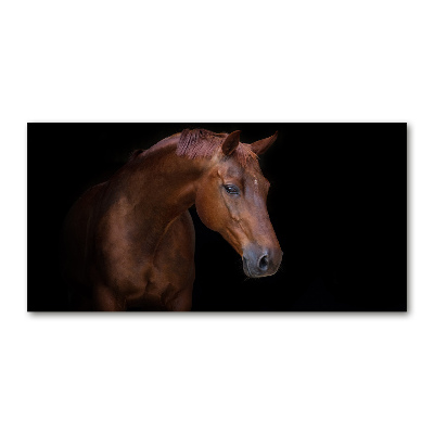 Foto in plexiglas Bruin paard