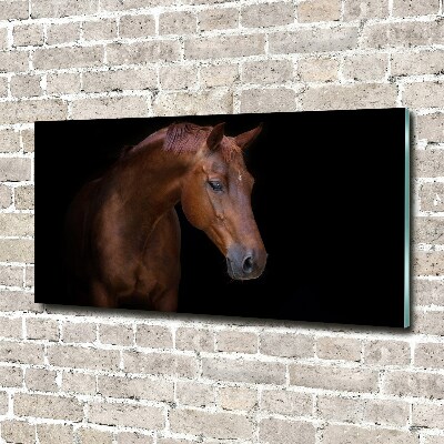 Foto in plexiglas Bruin paard