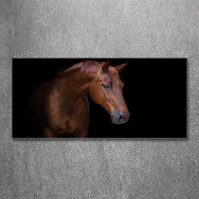 Foto in plexiglas Bruin paard