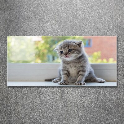 Schilderij op acrylglas Een klein katje bij het raam