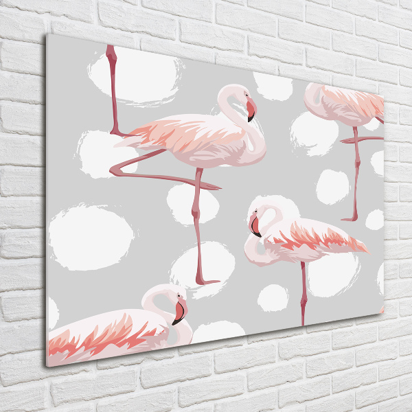Plexiglas foto Flamingo's