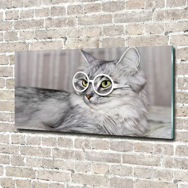 Plexiglas foto Kat met bril