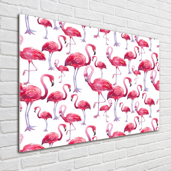 Foto op plexiglas Flamingo's