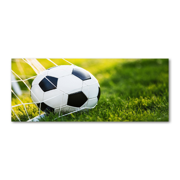 Plexiglas foto De bal ligt in het doel.