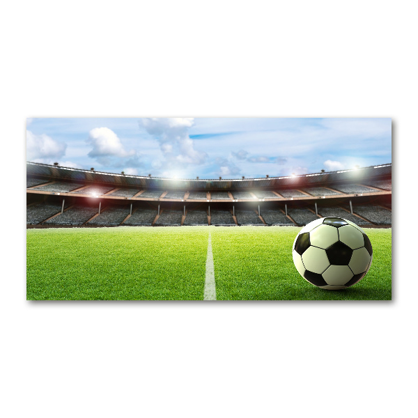 Foto in plexiglas De bal op het veld