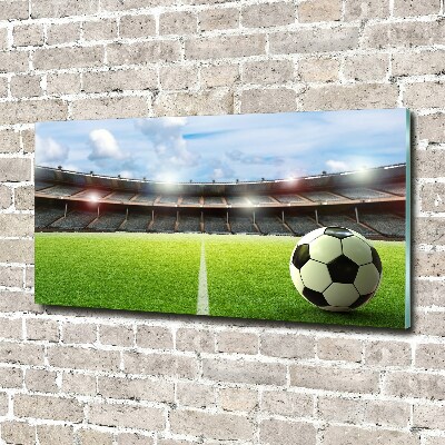 Foto in plexiglas De bal op het veld