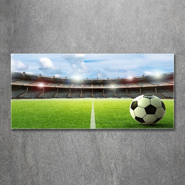 Foto in plexiglas De bal op het veld