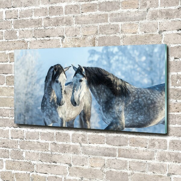 Schilderij op acrylglas Grijze paarden in de winter
