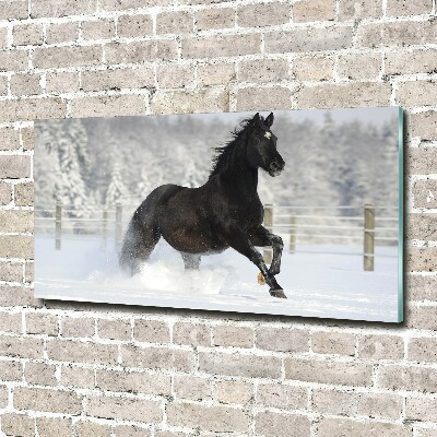 Foto in plexiglas Een paard dat galoppeert in de sneeuw