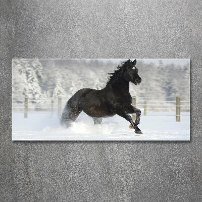 Foto in plexiglas Een paard dat galoppeert in de sneeuw