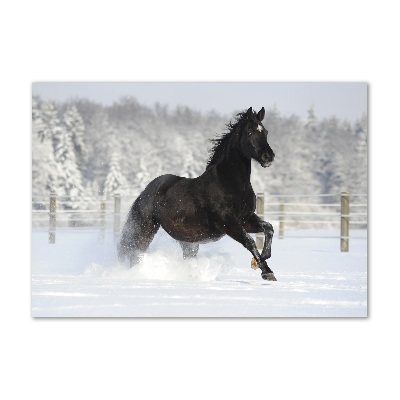 Foto in plexiglas Een paard dat galoppeert in de sneeuw