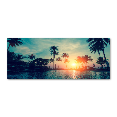 Plexiglas foto Palm Sunset