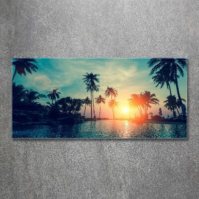Plexiglas foto Palm Sunset