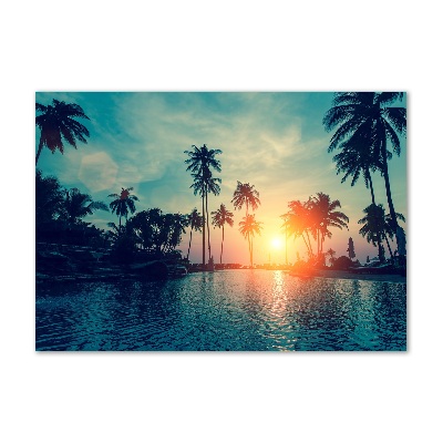 Plexiglas foto Palm Sunset