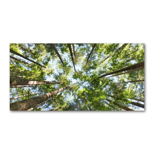 Foto in plexiglas Boomkroon