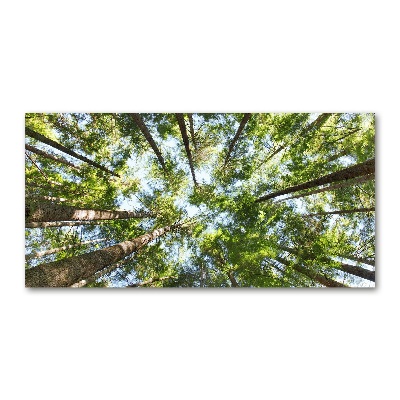 Foto in plexiglas Boomkroon