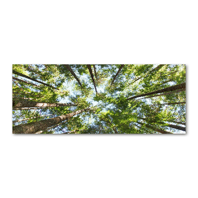 Foto in plexiglas Boomkroon