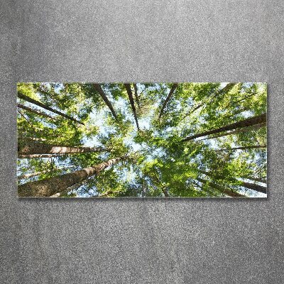 Foto in plexiglas Boomkroon