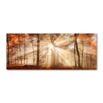 Foto op plexiglas Mist in het herfstbos
