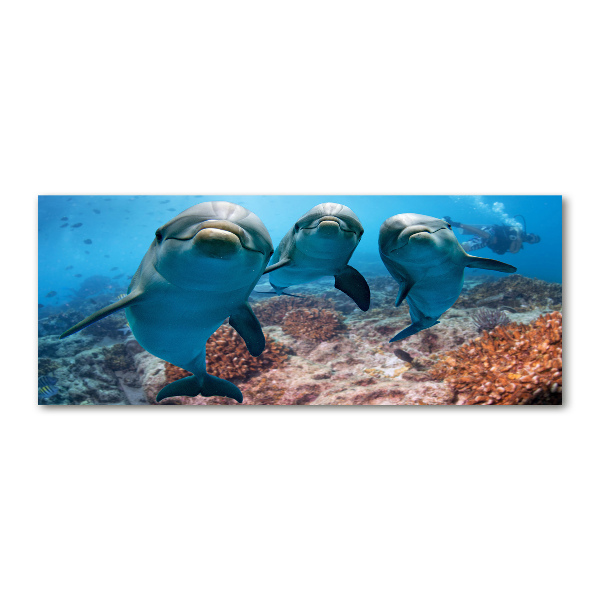 Plexiglas schilderij Dolfijnen