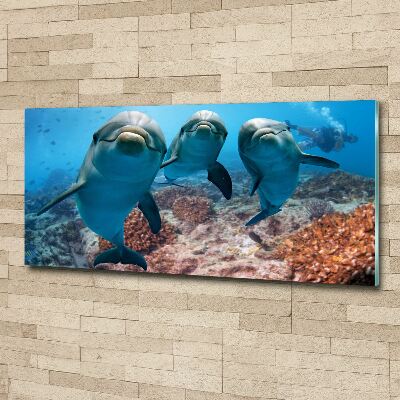 Plexiglas schilderij Dolfijnen