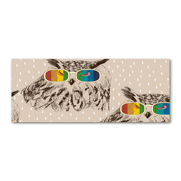 Plexiglas foto Uilen met een bril