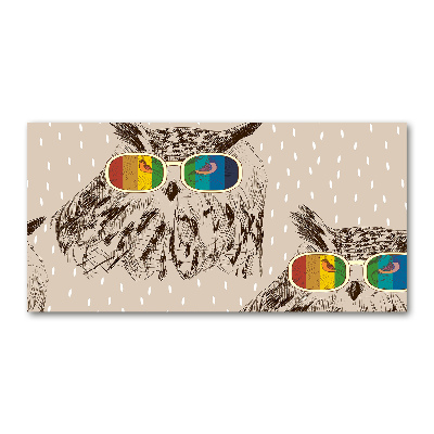 Plexiglas foto Uilen met een bril