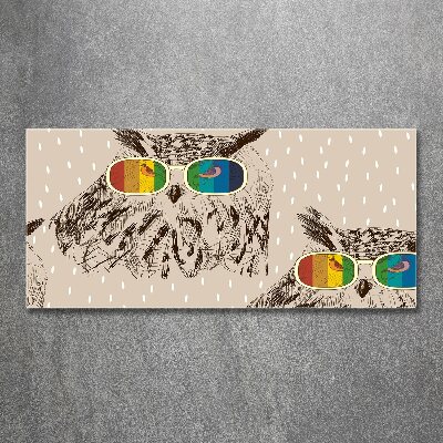 Plexiglas foto Uilen met een bril