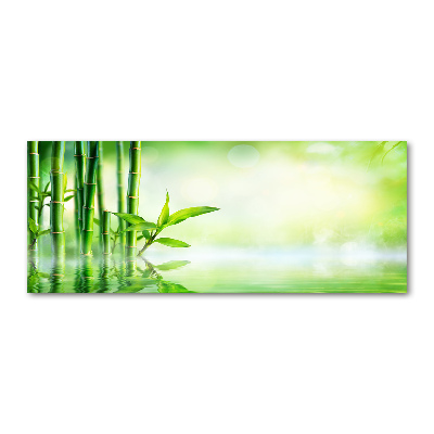 Foto plexiglas Bamboe