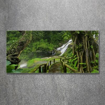 Foto plexiglas Waterval in de jungle