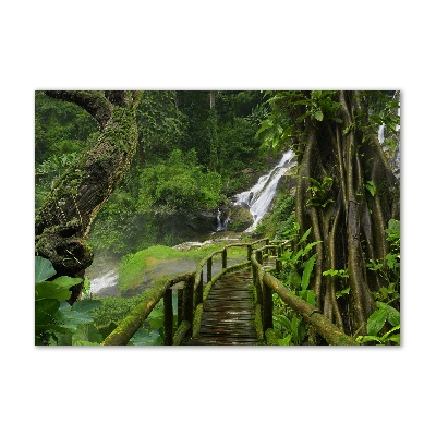 Foto plexiglas Waterval in de jungle