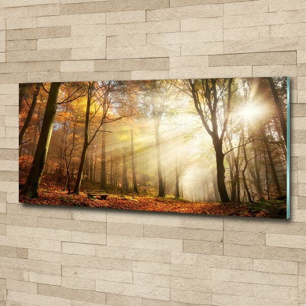 Schilderij op acrylglas Mist in het bos