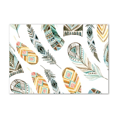 Plexiglas foto Etnische veren