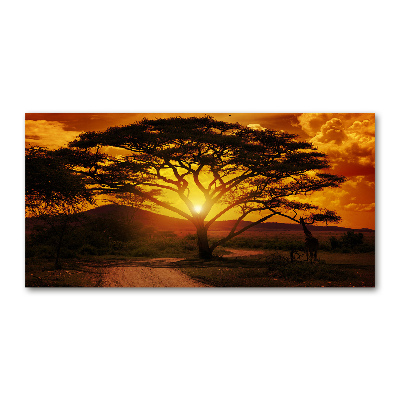 Foto in plexiglas West-Afrika